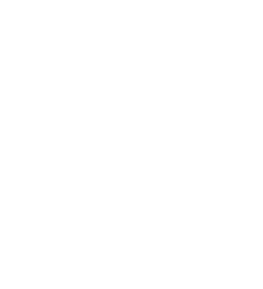 NETBOP logo